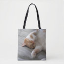 Recherche de règle de chat accessoires Chats mignons