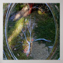 Suche nach lebenszyklus poster Kreislauf