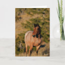 Suche nach mustangs karten Stehend