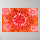 Suche nach polymere poster Kaskadierte moleküle