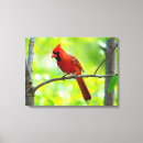 Recherche de vif impressions sur toile Brillant