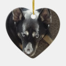 Suche nach personalisierte hunde ornamente Für sie/ihn
