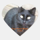 Recherche de oreilles de chat autocollants Chats