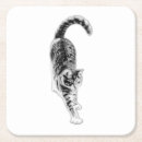 Suche nach friedlich untersetzer Katze