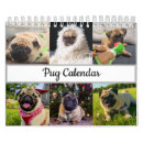 Suche nach mops kalender Haustiere