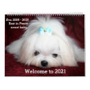 Suche nach großes weiß kalender Welpen