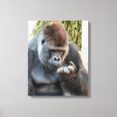 Suche nach gorilla leinwandbilder Primat
