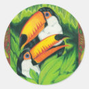 Recherche de toco autocollants Toucan
