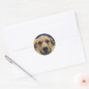 Suche nach loyal aufkleber Welpe