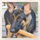 Suche nach german untersetzer Haustiere