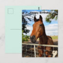 Recherche de cheval de course vœux cartes Animal