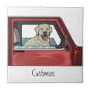 Recherche de chevalier carreaux Animal