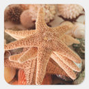 Suche nach souvenirs aufkleber Farbenfroh