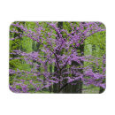 Recherche de floraison magnets Paysage