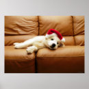 Suche nach wohnzimmer poster Hund