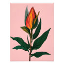 Recherche de bourgeons de magnolia Floral