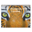 Recherche de tigre photographie Coutume