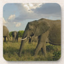 Suche nach afrikanischer elefant untersetzer Kenya