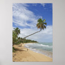 Suche nach tres poster Natur