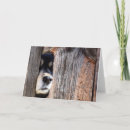 Suche nach pinkeln karten Hund