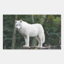 Suche nach wilde hunde aufkleber Kaninchen