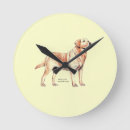 Suche nach labrador welpe wanduhren Welpen