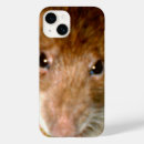 Suche nach ratte iphone hüllen Tiere