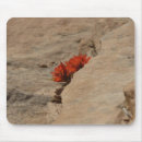 Suche nach indische mousepads Fotografie