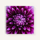 Recherche de dahlia pourpre Botanique