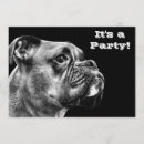 Recherche de de boxeur invitations Boxeurs