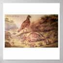 Recherche de cailles posters Montagne