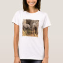 Recherche de jeune animal tshirts Éléphant