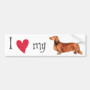 Recherche de weiner voiture autocollants Dachsie