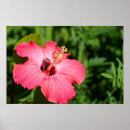 Suche nach kindisch poster Farbig