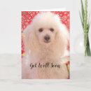 Recherche de caniche vœux cartes Chien