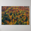 Suche nach herbstwald poster Baum