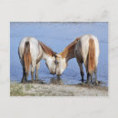 Recherche de amour animal cartes postales Romantique