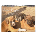 Recherche de de chiot de boxeur Boxeurs