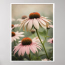 Suche nach echinacea poster Botanisch