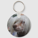Recherche de dans le chinois porteclés Chien