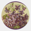 Suche nach botanischer druck aufkleber Blumenreich