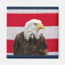 Recherche de rapaces magnets Faune