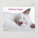 Recherche de chat original cartes postales Mignon