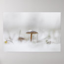 Recherche de schnee posters Neige