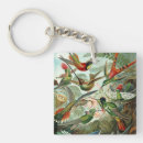 Suche nach kolibris accessoires Blau
