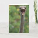 Suche nach der hals karten Vogel