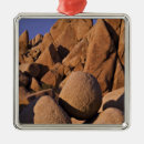 Suche nach joshua tree ornamente Wüste