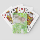 Suche nach monkey spielkarten Poker