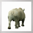 Recherche de rhinocéros blanc posters Faune