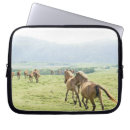 Recherche de fonctions photographie Chevaux